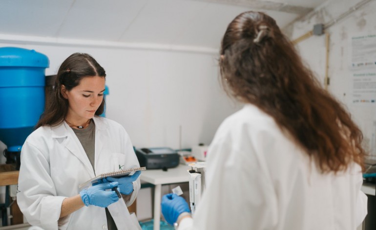 194 milhões de euros é a avaliação total atingida pelas startups ligadas ao mar