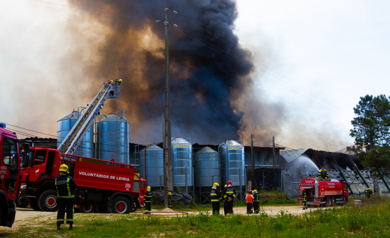 Fogo terá matado mais de 120 mil frangos