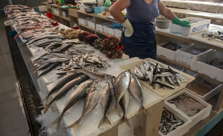 restam-duas-peixeiras-no-mercado-municipal-da-nazare