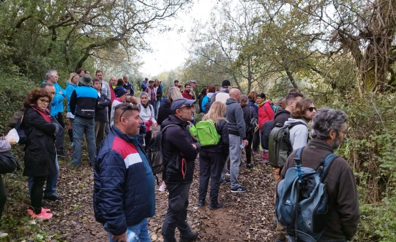 Caminhada convidou participantes a descobrir a floresta