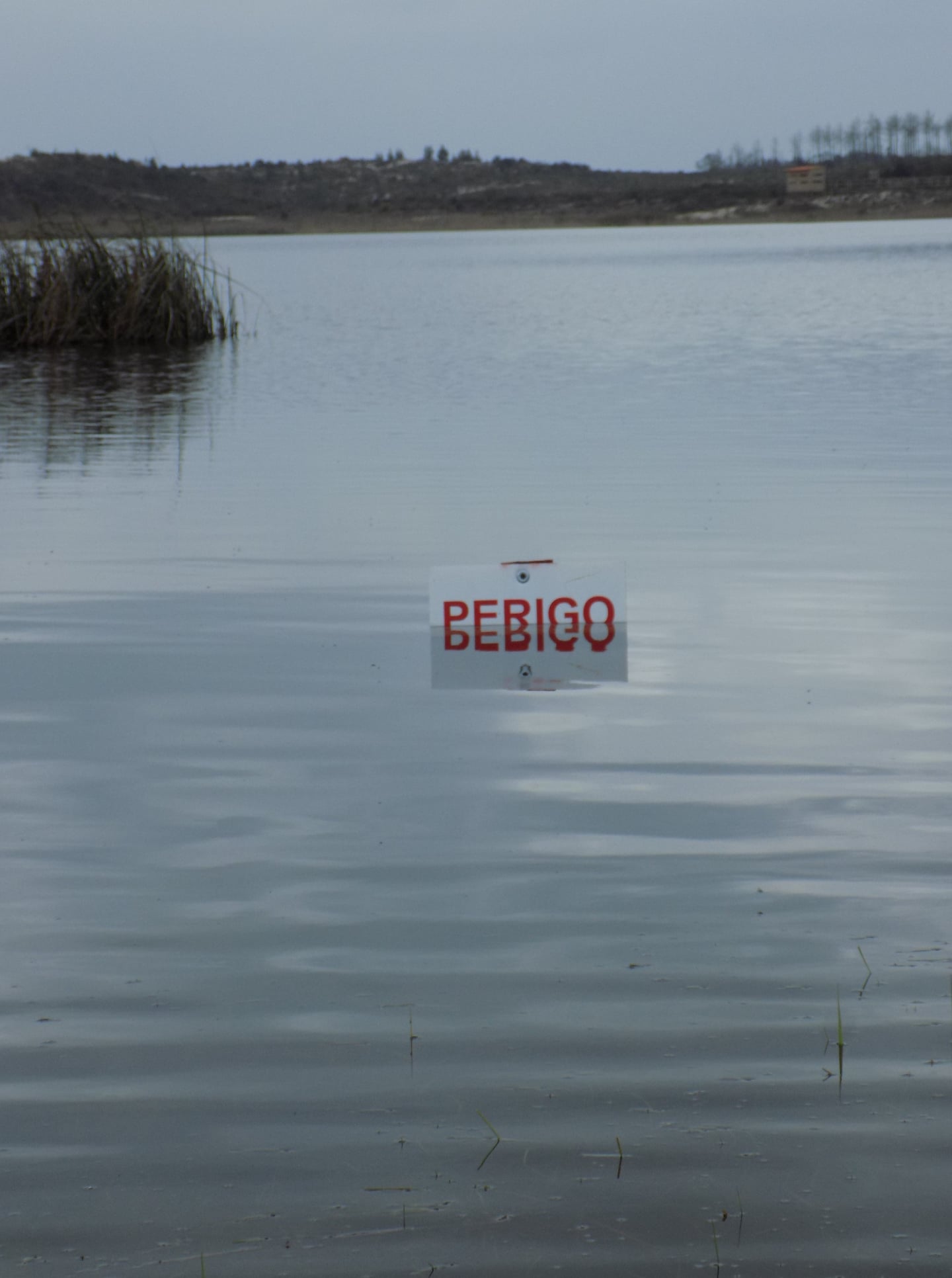 Lagoa da Ervedeira (Concelho de Leiria) Março de 2021