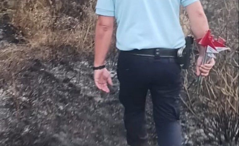 gnr-identifica-homem-por-incendio-florestal-em-figueiro-dos-vinhos