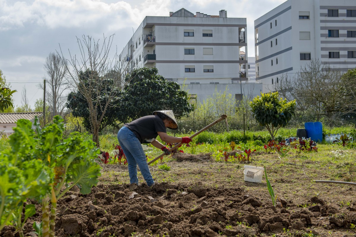 horta-na-cidade-leiria-2021