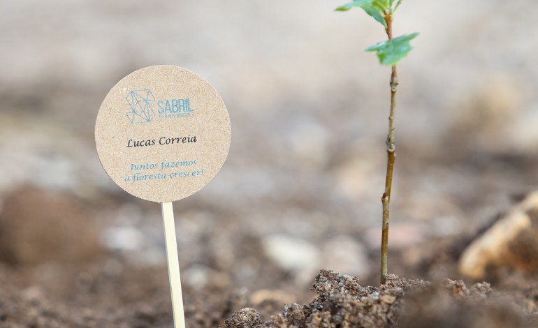 Mais de 70 alunos da escola do I ciclo da Albergaria, do 1.º aos 4.º anos, e do 9.º ano do Externato Escolar local