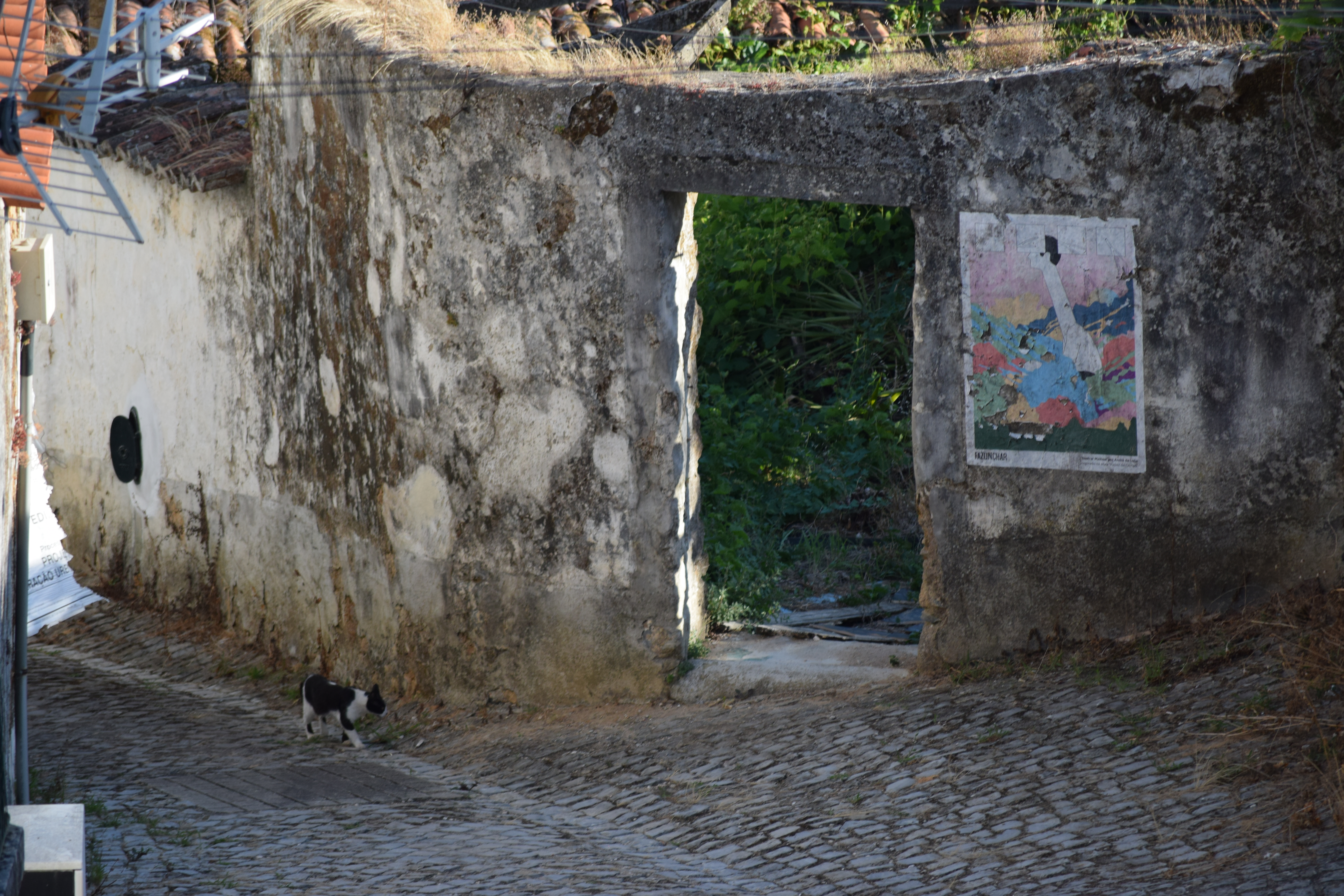 Roteiro pelo Fazunchar - Festival de Arte Urbana 2021