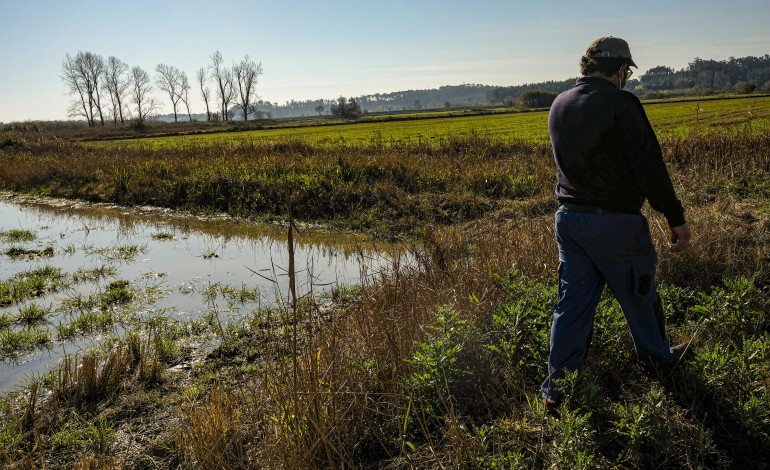 ha-34-parcelas-do-vale-do-lis-a-concurso-para-aproveitamento-agricola