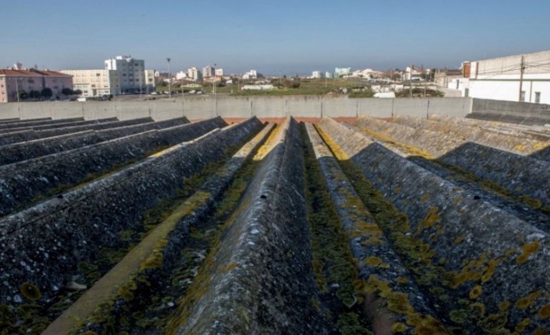 ate-final-do-ano-escolas-de-leiria-bombarral-peniche-porto-do-mos-marinha-grande-pombal-e-ansiao-removem-amianto