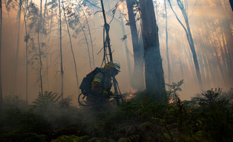 incendios-de-pombal-e-ourem-ainda-activos-maceira-em-vigilancia