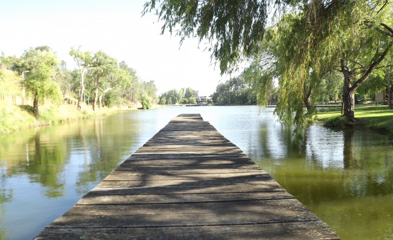 peticao-queremos-um-central-parque-em-leiria-pede-que-parque-da-22-de-maio-seja-construido-2855