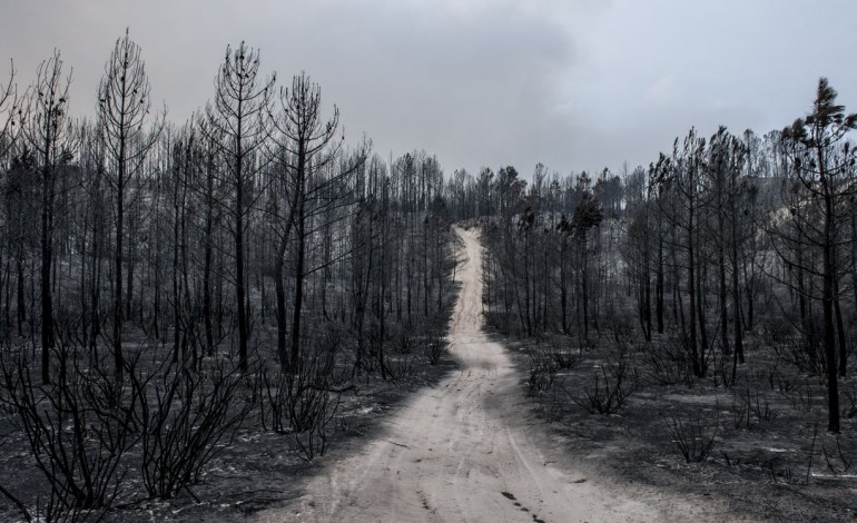 nao-ha-incendios-activos-desde-as-5-horas-da-manha-7356