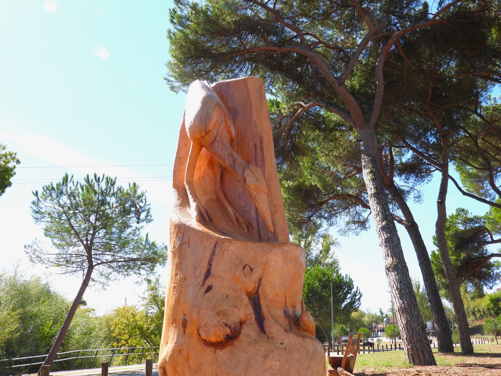 Escultor Zé Justino autor de parte das obras de arte no Parque Verde do Açude