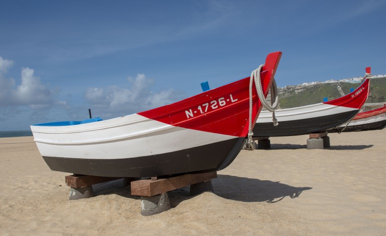 Ilda - Barco a remos, construído em 1948 e registado para a pesca local. Era a lancha auxiliar do barco de pesca do candil Vagos e tinha uma lotação máxima de dois tripulantes