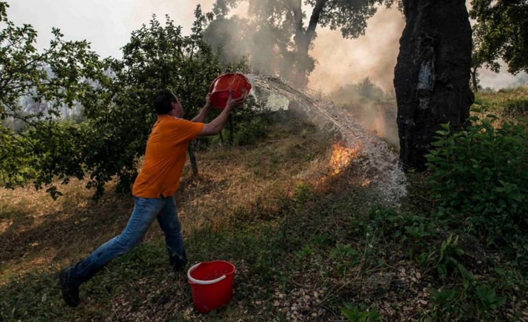 proteccao-civil-admite-controlo-do-incendio-de-pedrogao-ate-ao-final-da-manha-mas-ainda-nao-a-sua-extincao-6671