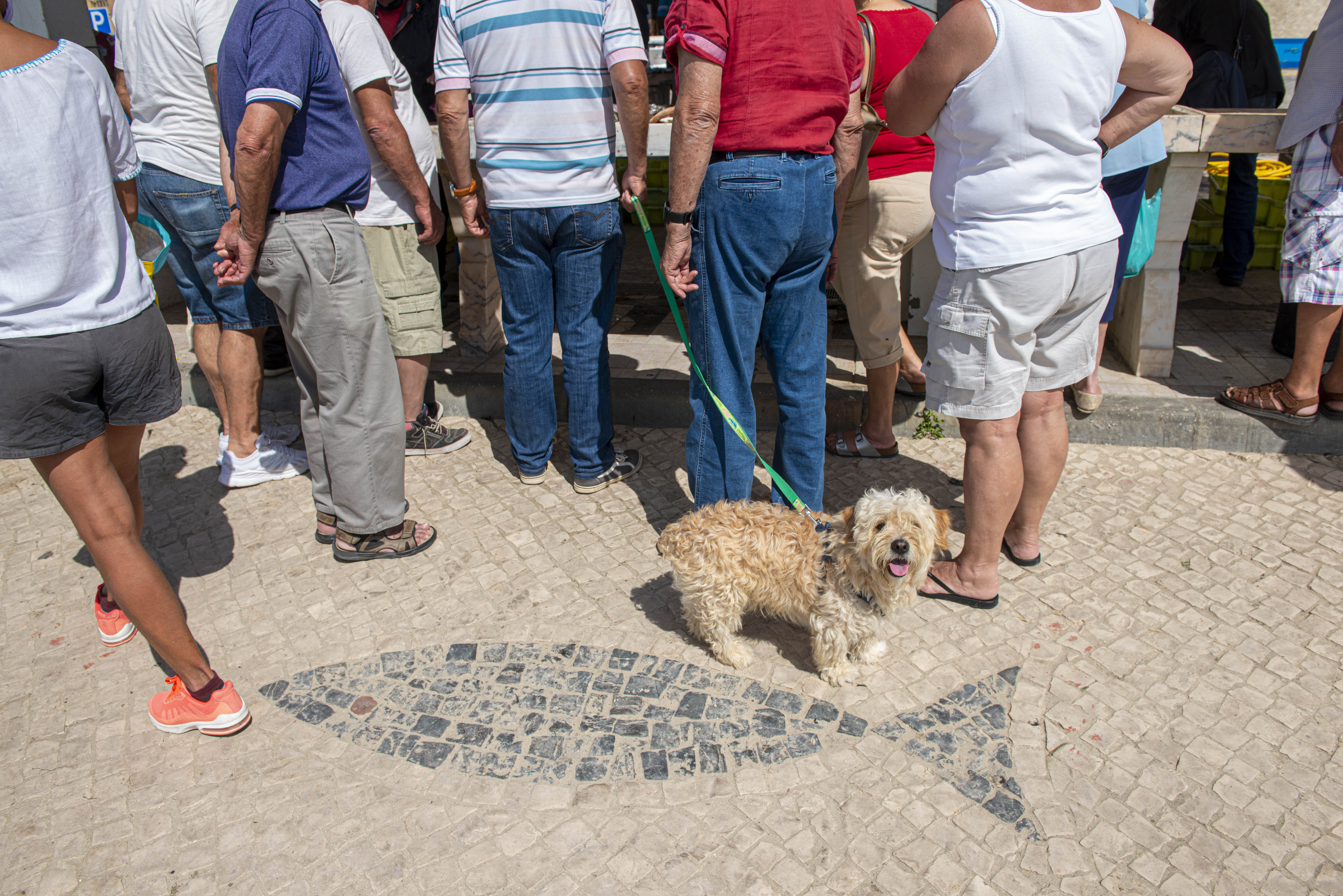 Arte xávega na Praia da Vieira