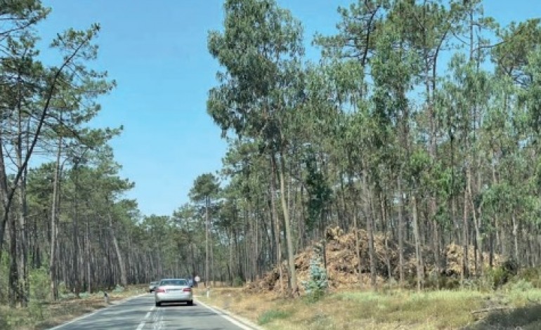 Dois casos flagrantes no concelho de Leiria, na freguesia dos Parceiros e na estrada que liga Monte Redondo ao Coimbrão
