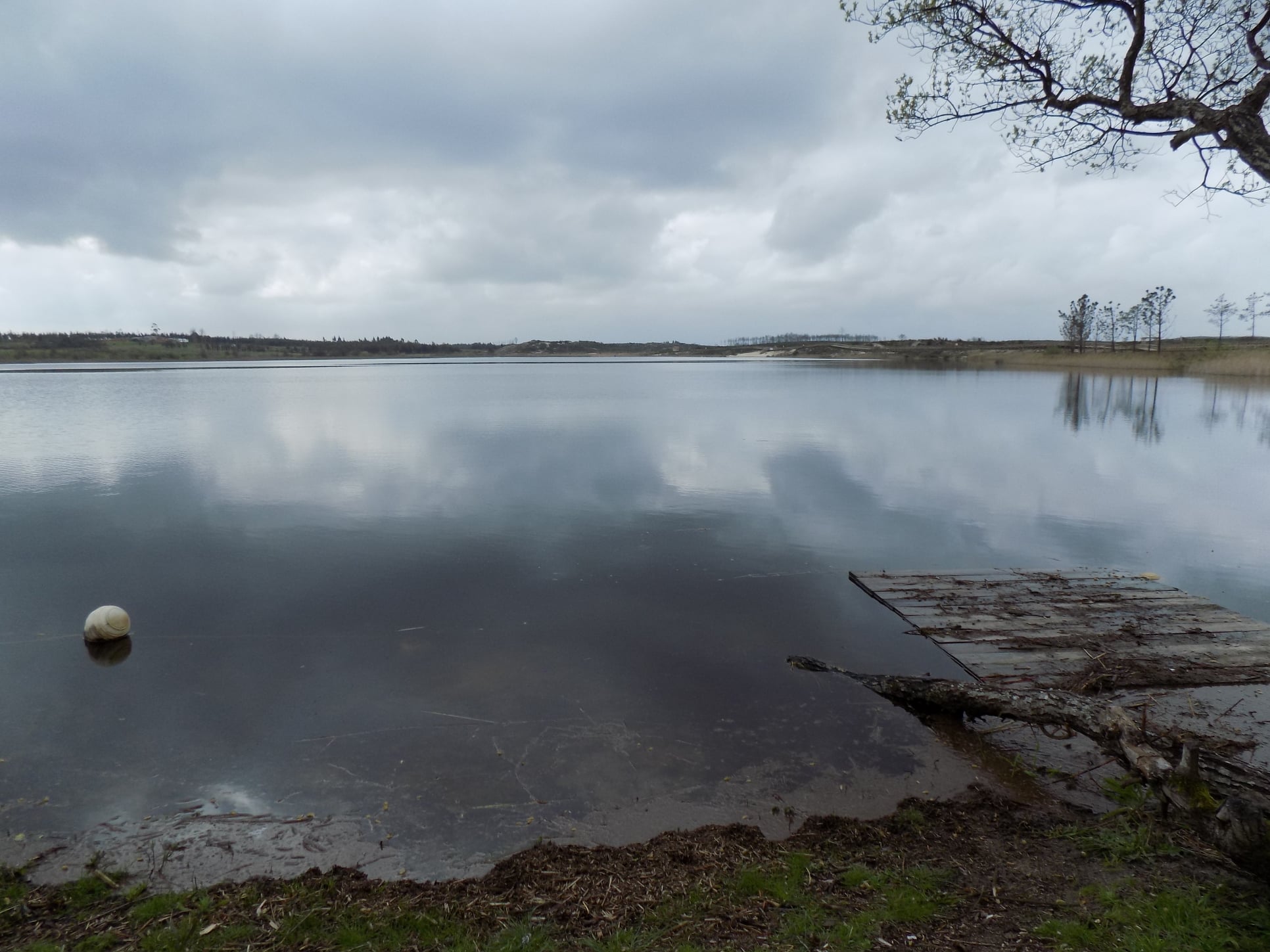 Lagoa da Ervedeira (Concelho de Leiria) Março de 2021