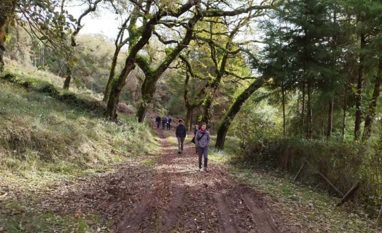 Caminhada convidou participantes a descobrir a floresta