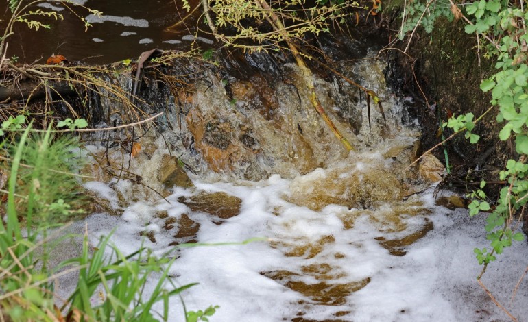 adcl-assume-responsabilidade-por-descarga-que-poluiu-ribeira-do-picheleiro-na-barosa-leiria