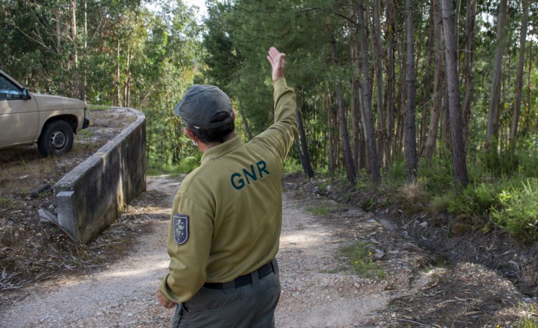 queima-autorizada-provoca-incendio-florestal-em-alvaiazere