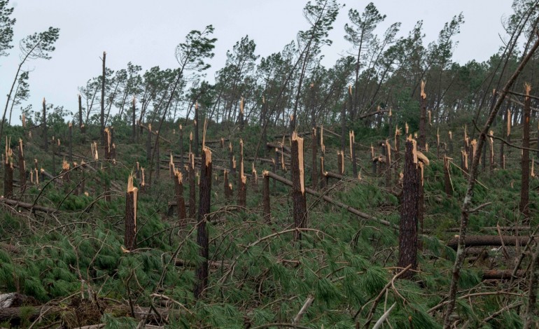 Sexta-feira, dia 30, durante a manhã