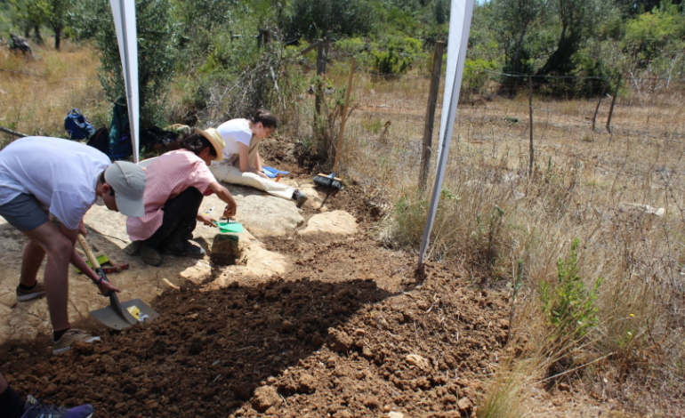 Trabalho de campo realizados em Julho de 2022