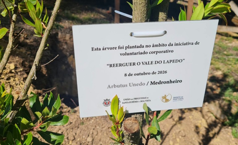 Governador do Banco de Portugal, Álvaro Santos Pereira, ajudou na limpeza do espaço