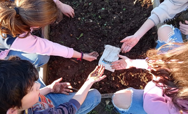 Várias eco-escolas do concelho de Leiria aceitaram o desafio do Jornal de Leiria