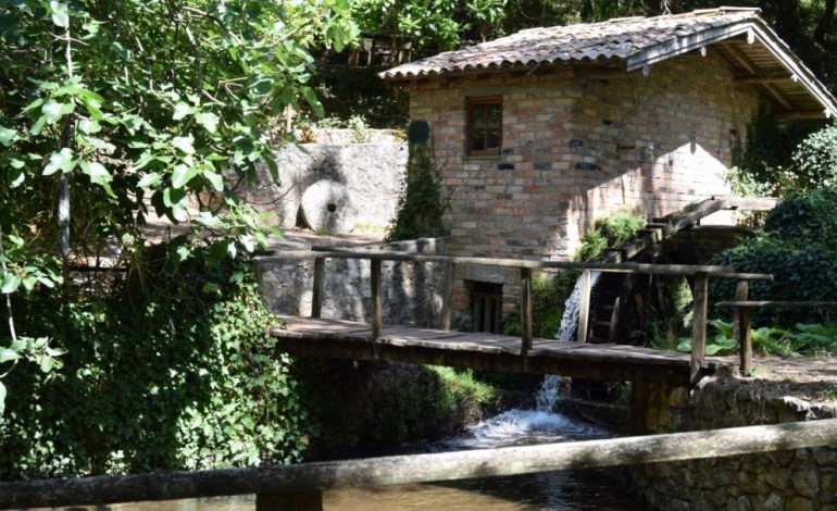 um-recanto-que-permanece-tal-como-a-natureza-o-desejou-6862