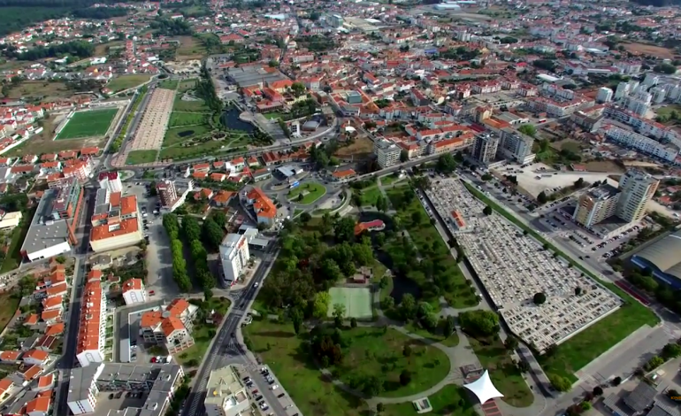 marinha-grande-a-partir-do-ponto-de-vista-das-gaivotas-3069