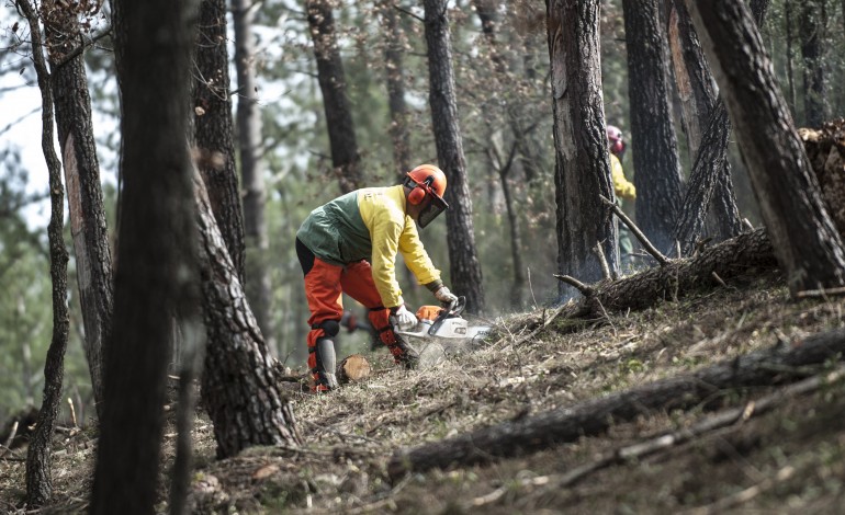 batalha-lanca-concurso-para-trabalhos-de-gestao-de-combustivel-e-limpeza-de-terrenos