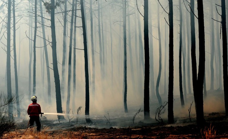 figueiro-dos-vinhos-e-alvaiazere-em-risco-maximo-de-incendio-6660