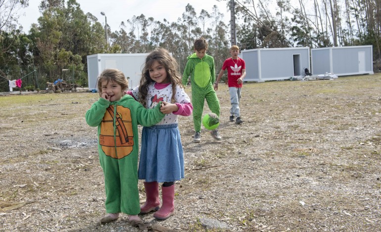 o-unico-abrigo-era-o-pinhal-e-esse-desapareceu-com-a-tempestade