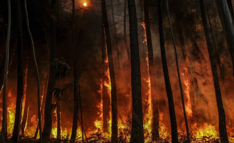 alguns-habitantes-retirados-por-precaucao-de-aldeia-do-concelho-de-ansiao