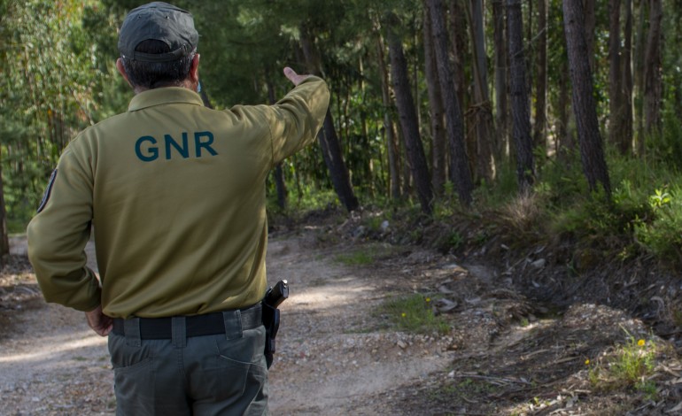 gnr-liberta-cao-preso-para-cacar-ilegalmente-em-ourem