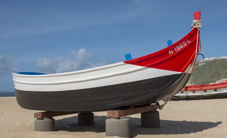 Vagos - Construída em 1956, destinava-se à pesca do candil, praticada à noite na baía da Nazaré. Usava uma lancha auxiliar, que tinha uma cruzeta com fogachos para iluminar o espaço e atrair o peixe à superfície