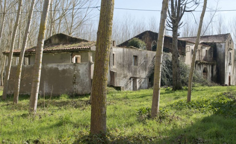 camara-da-batalha-quer-comprar-casa-onde-nasceu-mouzinho-de-albuquerque-6881