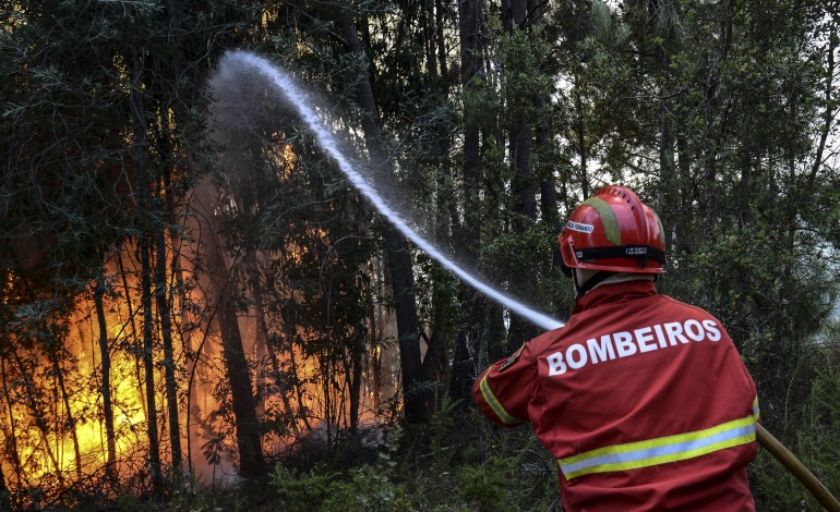 detido-suspeito-de-atear-quatro-fogos-em-ourem
