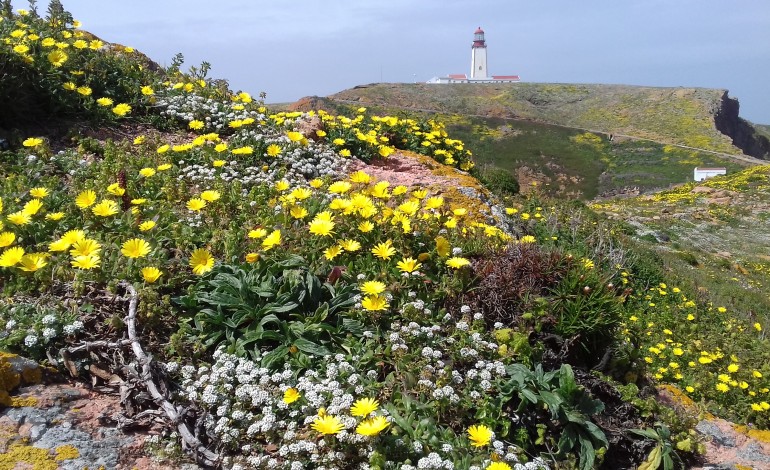 life-berlengas-finalista-do-premio-europeu-natura-2000