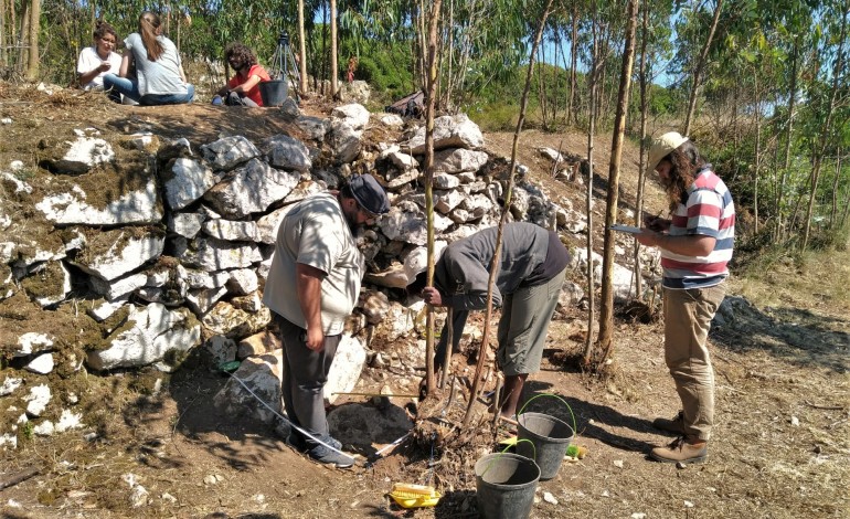 dia-aberto-em-escavacao-de-povoado-pre-historico-em-peniche