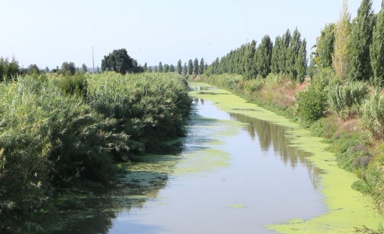 camara-de-leiria-exige-reparacao-de-danos-causados-a-aguas-do-centro-litoral