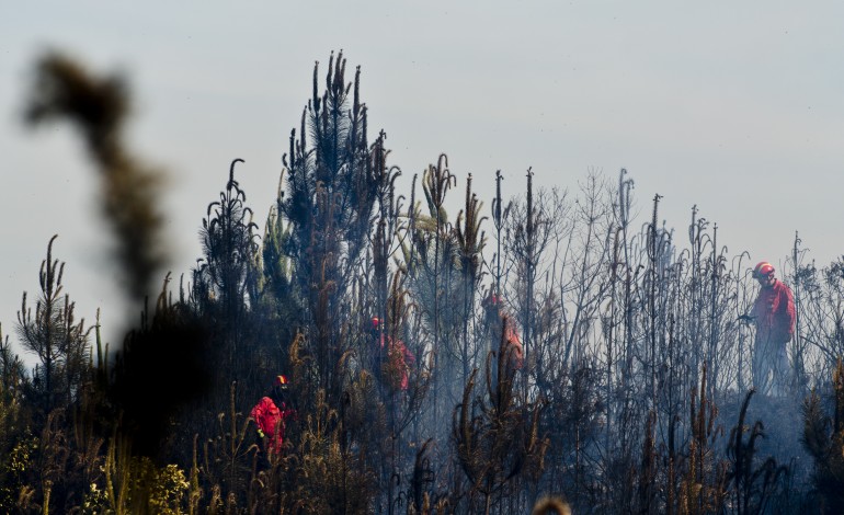 nove-concelhos-da-regiao-em-risco-muito-elevado-de-incendio