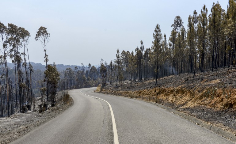 fogo-destroi-dezenas-de-alfaias-agricolas-e-provoca-estragos-em-seis-habitacoes-em-alvaiazere