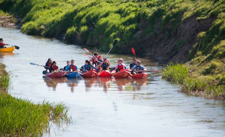 Fotografia: Remar Contra a Corrente I