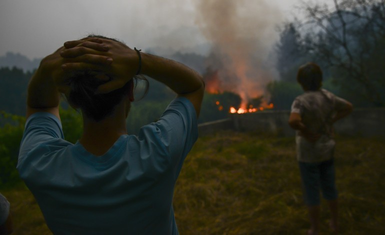 fogos-provocaram-um-milhao-em-prejuizos-em-ansiao-em-floresta-plantacoes-de-eucalipto-e-pinheiro-e-agricultura