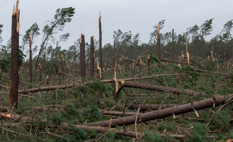 Sexta-feira, dia 30, durante a manhã