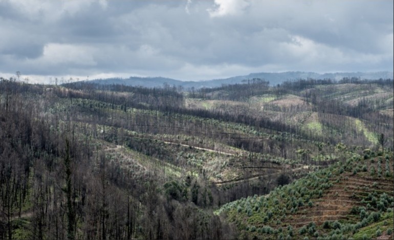 distrito-de-leiria-em-risco-elevado-de-incendio-ate-domingo