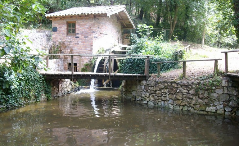 feiriarte-esta-de-regresso-ao-parque-do-pisao-na-bajouca