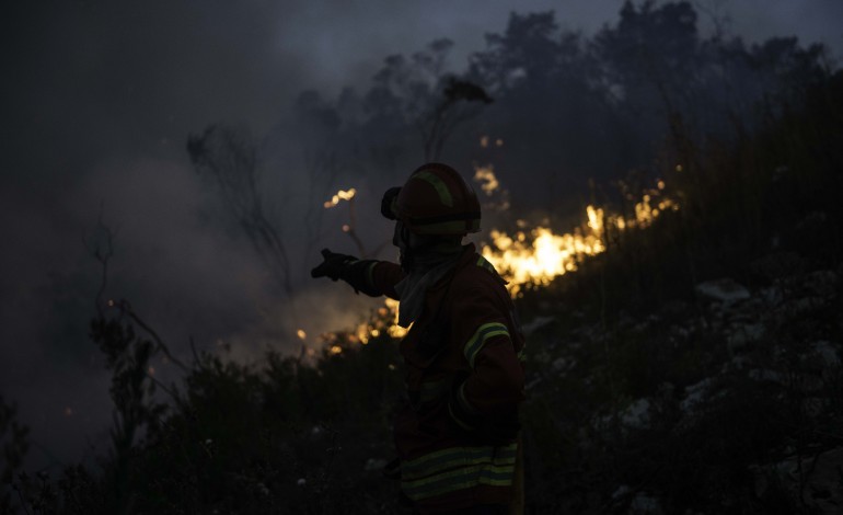 distrito-de-leiria-teve-o-melhor-resultado-da-decada-em-materia-de-area-ardida-com-incendios-rurais