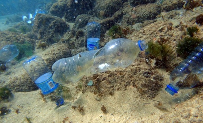 quercus-pede-responsabilidade-a-cidadaos-para-acabar-com-oceanos-de-plastico-6605