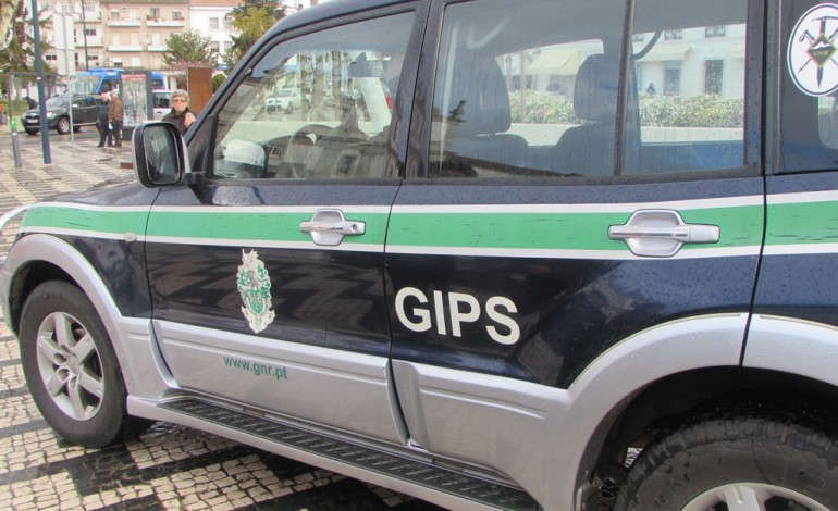 gips-de-pombal-fiscalizam-terrenos-com-vista-a-prevencao-de-incendios-3288